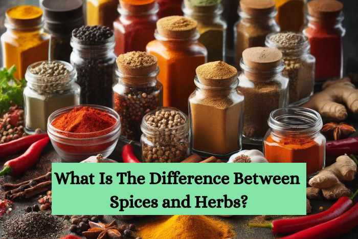 A photographic style of a vibrant assortment of whole and ground spices