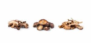 why use dried mushrooms instead of fresh